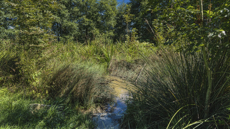 The hidden Pond