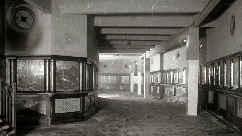 San Sebastián. Acuarium. Interior