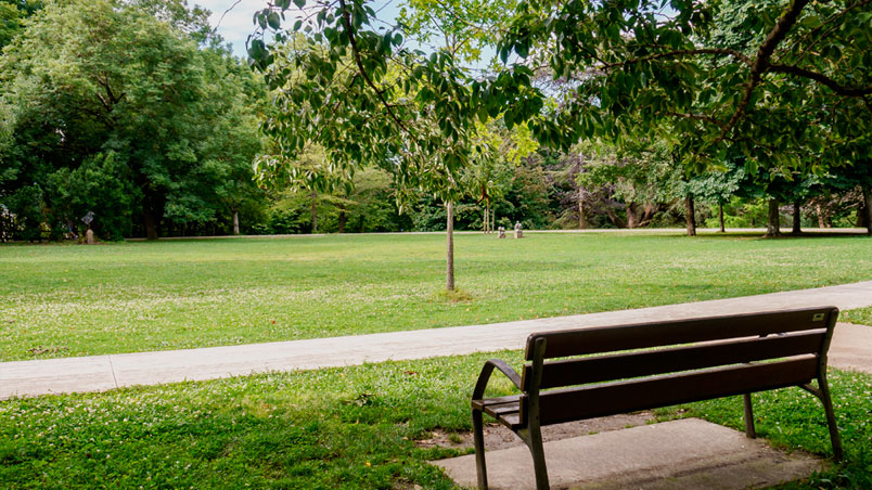 Bench and path between the grass of the park.