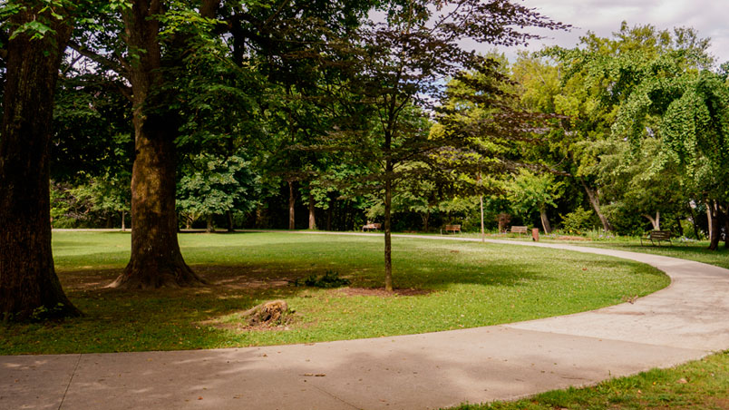 A curving path surrounded by trees in the park.