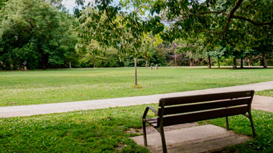 Bench and path between the grass of the park.