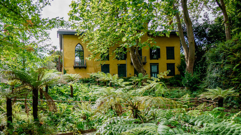 Bâtiment de cuisine parmi la végétation