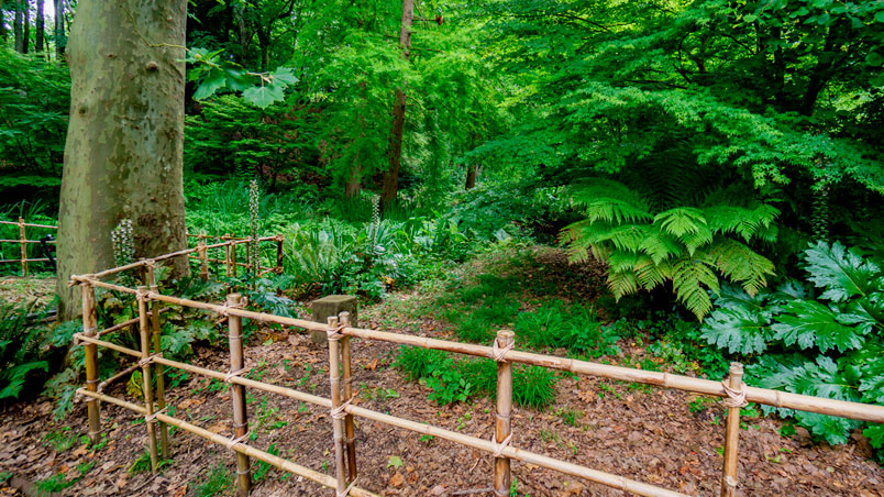 Fence near the pond