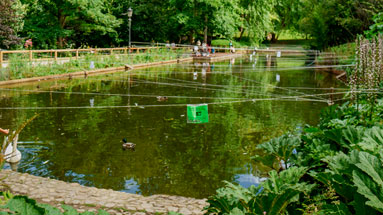 Children by the pond