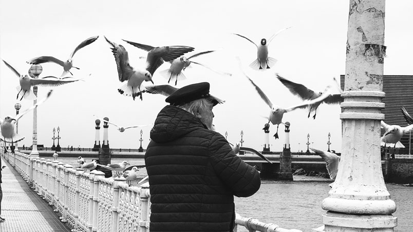 Hombre alimentando a las gaviotas en la Calle República Argentina de San Sebastián