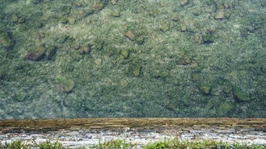 Oysters in the Urumea river bed