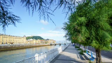 Tamarisks from Paseo Ramón María Lili in San Sebastián