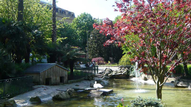 Pond with swans and ducks in Gipuzkoa Square