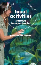 Local activities