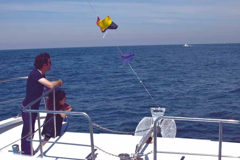 barco-acuaticos-catamaran-05