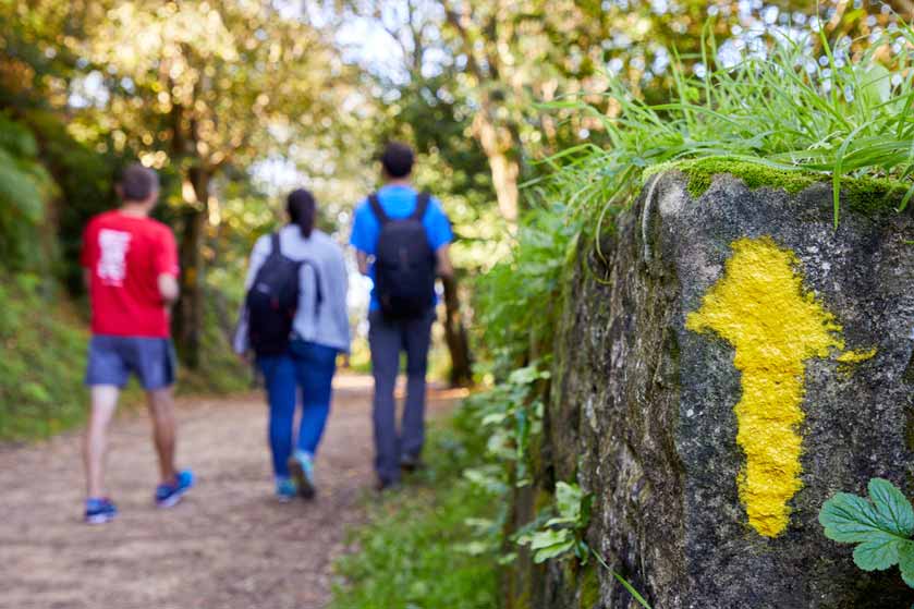 excursiones-camino-santiago-03