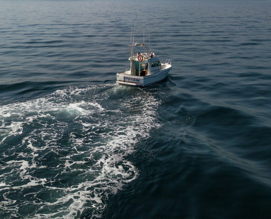 paseo en barco