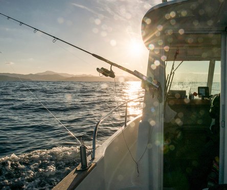 pesca enl barco