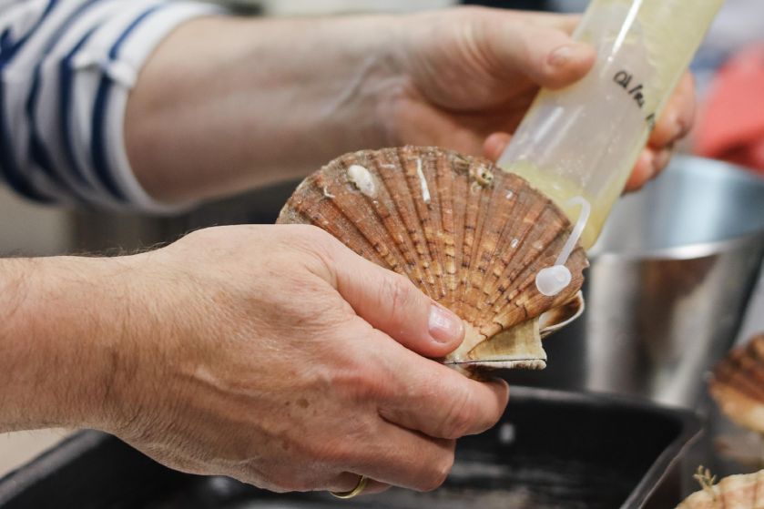 Comida en una sociedad gastronómica