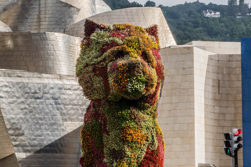 excursiones guggenhein pupp