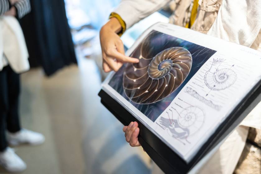 nautilus 2