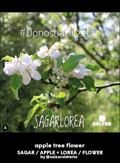 sagarlorea