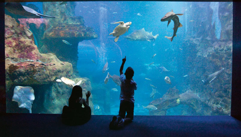 Aquarium tunela
