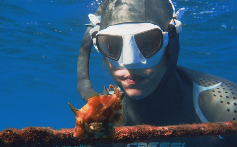 cimasub un cuento del mar