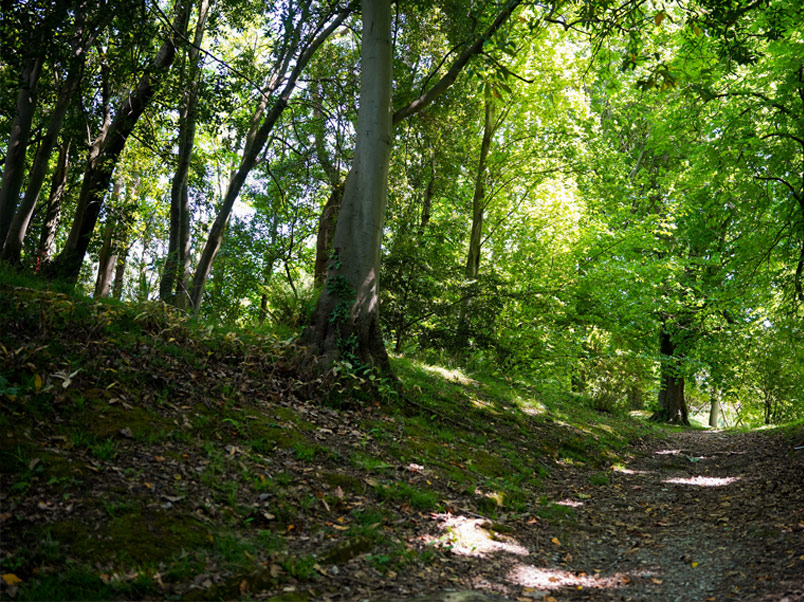 Parque Miramon - Vuelta Donostia