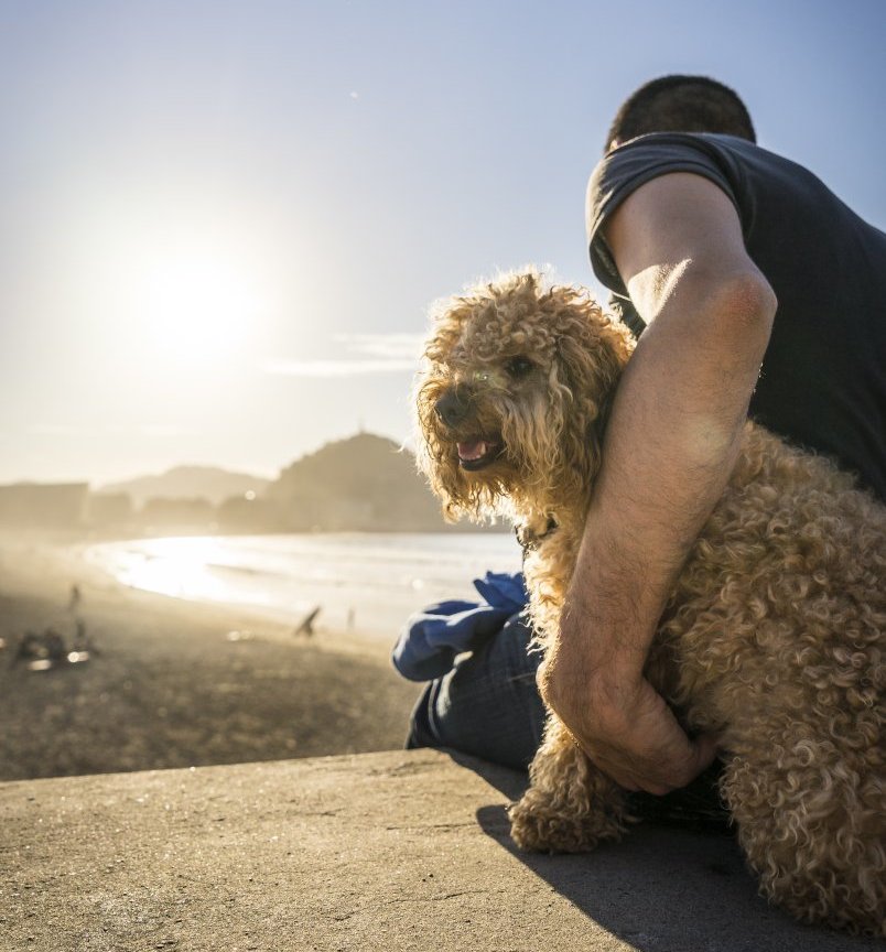 donostia dogfriendly 6 1