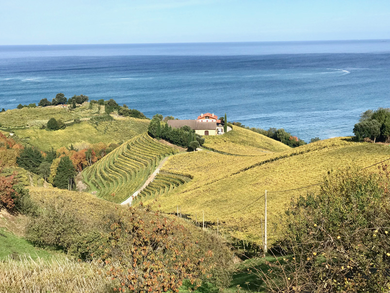 getaria-tierra-de-txakoli