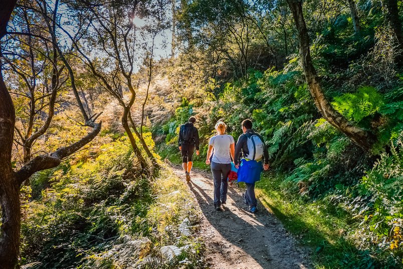 Centralizar asiático Vigilante Trekking - San Sebastián Turismo