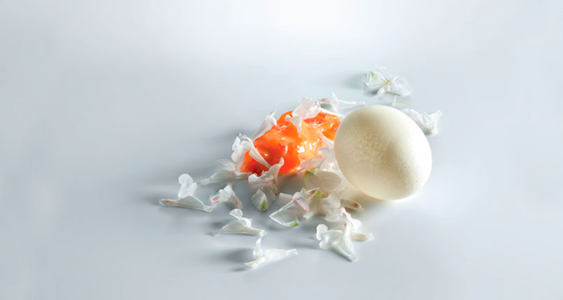 mugaritz-plato