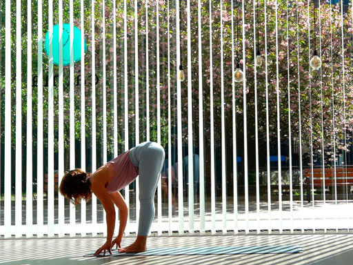 Calma Yoga Estudio, pertsona bat yoga egiten
