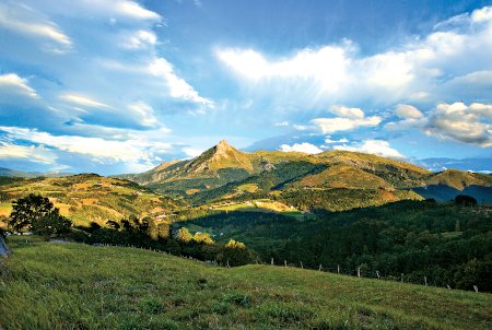 gipuzkoa berdea txindoki