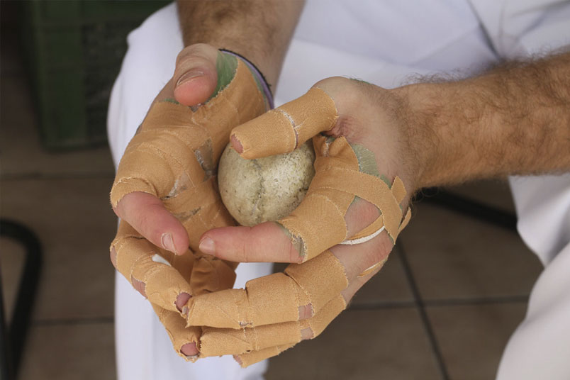 Pelota