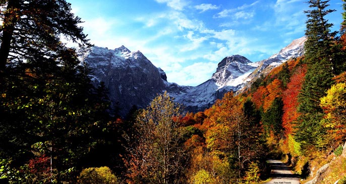 pirineos kabi